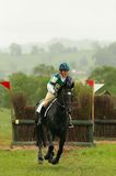jumping horse head on 7